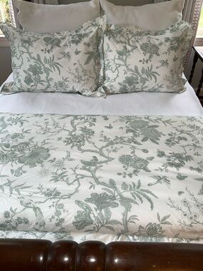 Jardin Toile Queen Duvet Cover, dust ruffle and 2 shams in Spa Green-LIKE NEW!